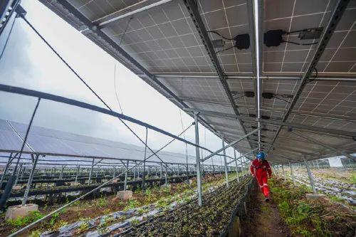 中國十三省最大光伏電站在這里！欽州康熙嶺的光伏電站能排上號(hào)了嗎？